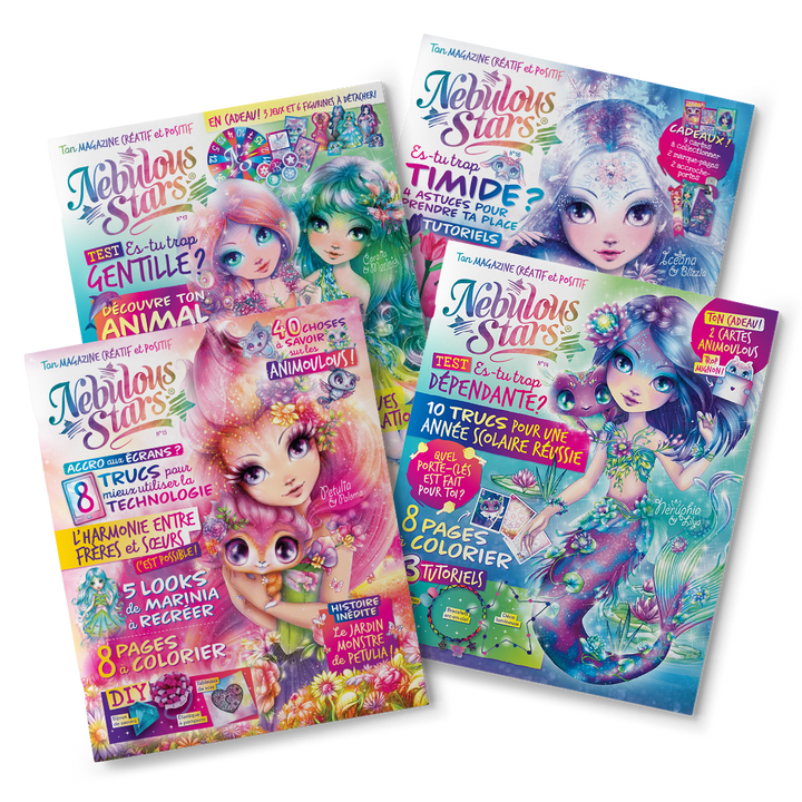 Annual Magazine Subscription - 4 issues (French)